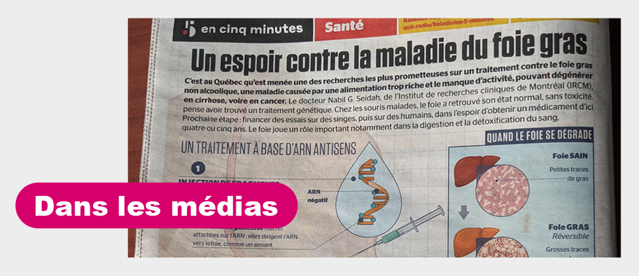 Dans les médias - Maladie du foie gras non alcoolique